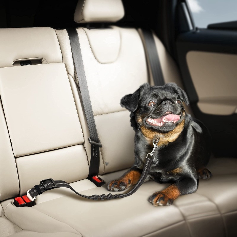 Retractable Dog Car Harness Se - Snap Fastener Setter 리뷰 및 가격