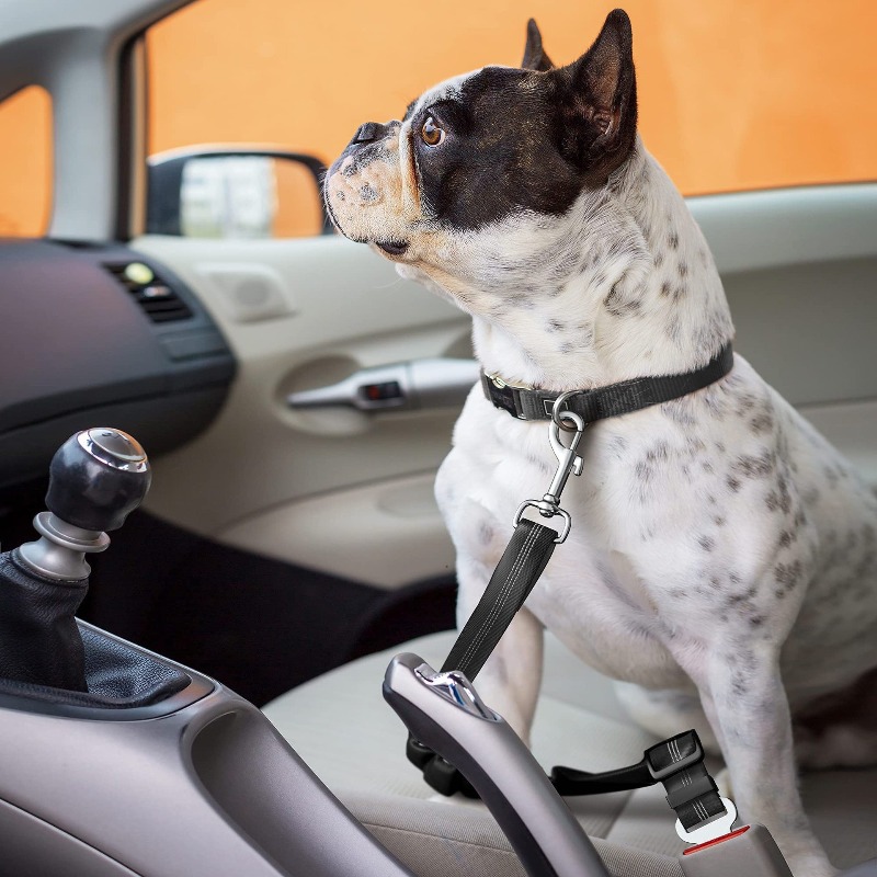 Retractable Dog Car Harness Se - Snap Fastener Setter 리뷰 및 가격